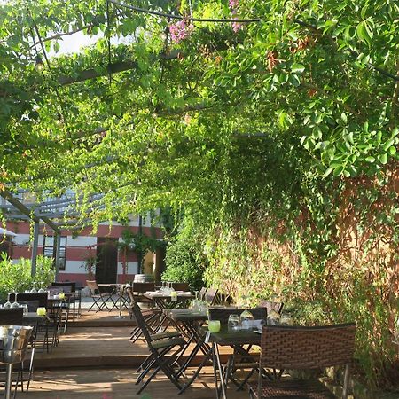 Monticello d'Alba Foresteria Ristorante Conti Roero מראה חיצוני תמונה